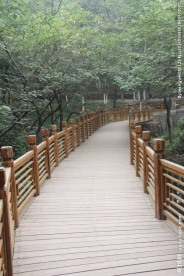 木栈道