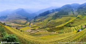 梯田风光