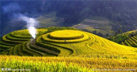 梯田风光