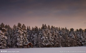 冬天的雪景