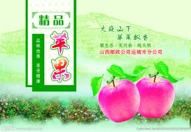 苹果礼品盒