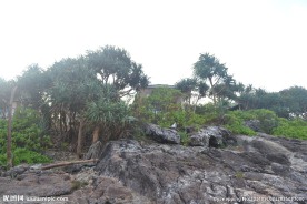 亚热带岛屿