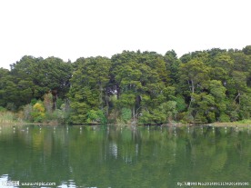 新西兰野鸭湖风景