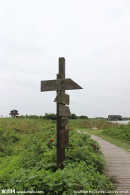 路标风景