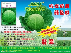农产品招贴画