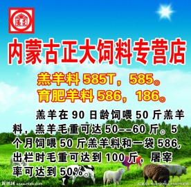 内蒙正大饲料宣传