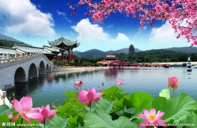 荷塘风景 山水风景图