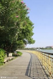 西湖小路 木板路