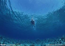 海底世界 海底 潜水员