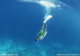 海底世界 海底 潜水 