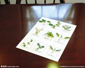 插花造型