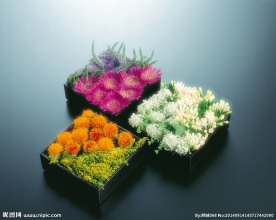 插花造型