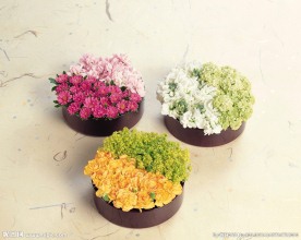 插花造型