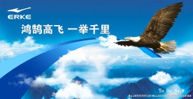 企业文化之雄鹰展翅