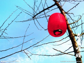 一抹红
