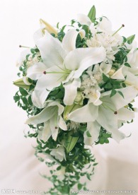 百合插花