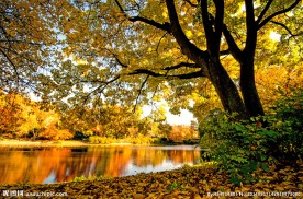 唯美秋天植物园