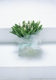 鲜花装饰