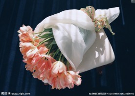 郁金香