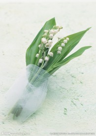 鲜花装饰