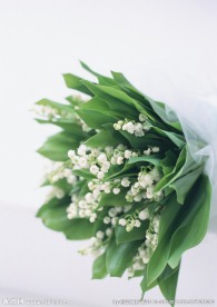 鲜花装饰
