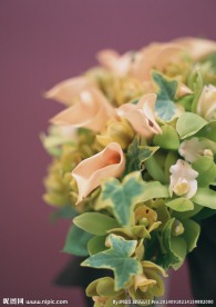 鲜花装饰