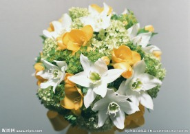 百合鲜花装饰