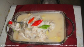 鲈鱼锅中游