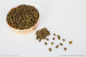 铁皮石斛高清图片