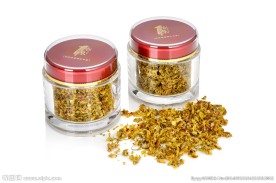 铁皮石斛高清图片