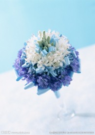 鲜花装饰