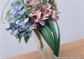 鲜花装饰