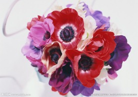 鲜花花艺