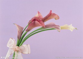 鲜花花束