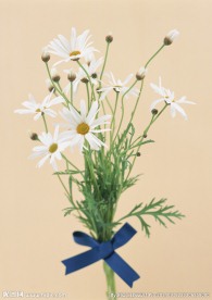 鲜花装饰