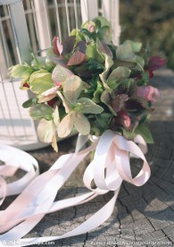 居家鲜花装饰