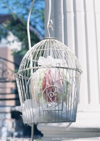 居家鲜花装饰
