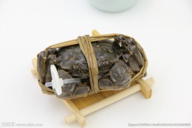 大闸蟹