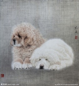 狗
