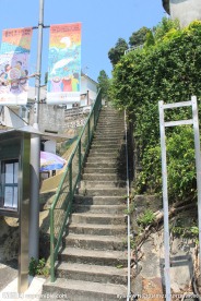 南丫小路