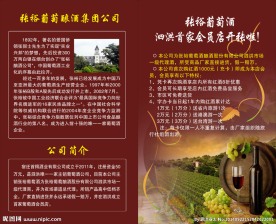 公司彩页