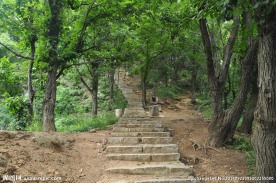 山间小道
