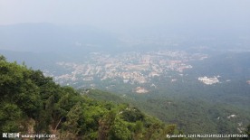 山峰 树林