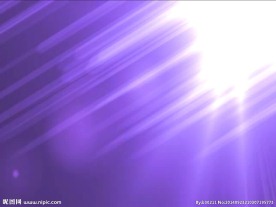 紫色背景