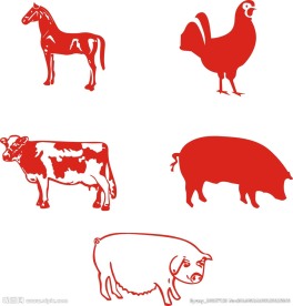 鸡猪牛马
