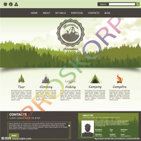 网站模板 网页设计