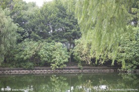 杭州美景