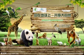 保护动物协会