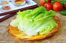 生菜