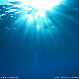 海底阳光